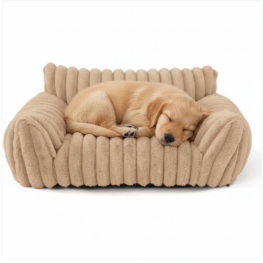 Sleepy Dog on Product Bed